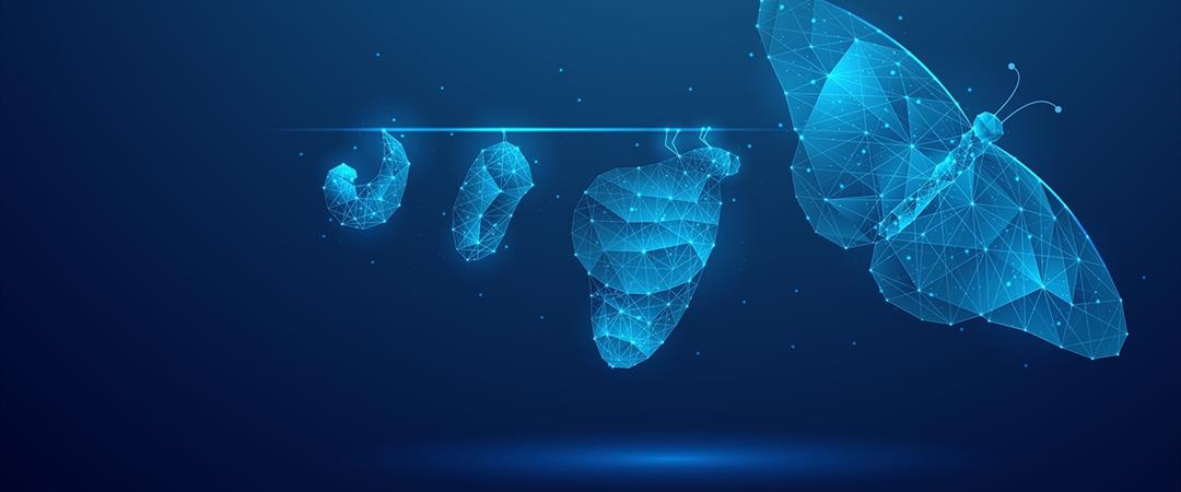 ALI cambia volto: è online il nuovo sito