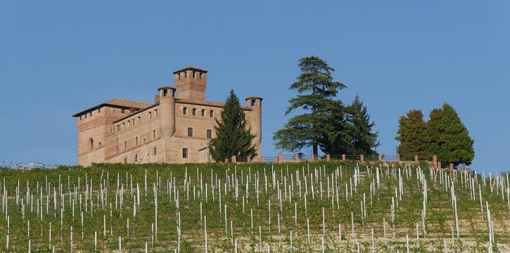 ALLA SCOPERTA DELLE LANGHE