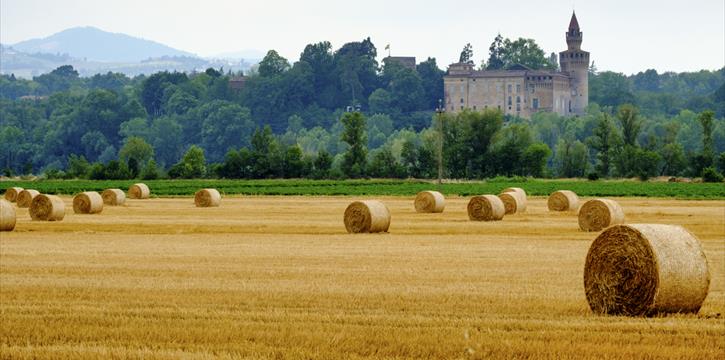 LA CITTA' DI PIACENZA E IL CASTELLO DI RIVALTA