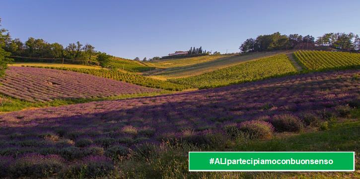 OLTREPÒ PAVESE - LA LAVANDA