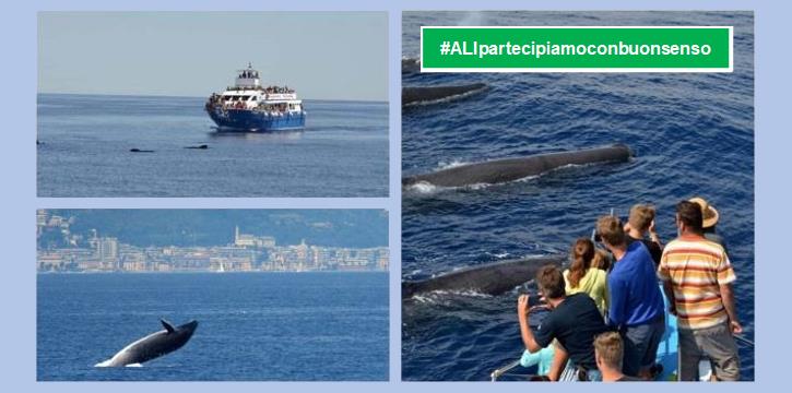 GENOVA: NAVIGAZIONE PER L'AVVISTAMENTO DEI CETACEI