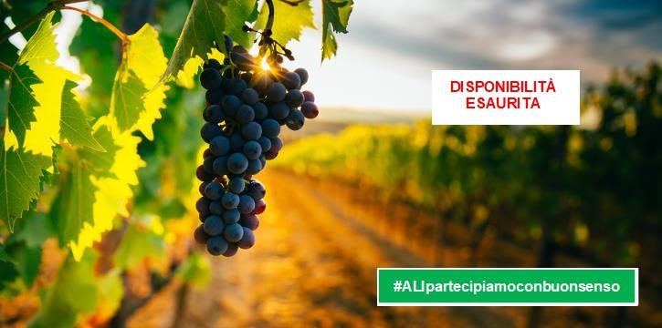 UNA GIORNATA IN CANTINA ALLE PENDICI DELL'ETNA