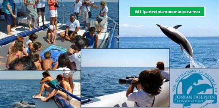 ESCURSIONE IN CATAMARANO ALLA RICERCA DEI DELFINI - TARANTO