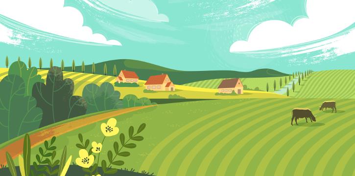 PRANZO IN AGRITURISMO CON VISITA E DEGUSTAZIONE