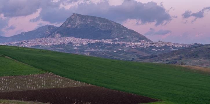 VISITA CON ESCURSIONE NATURALISTICA AL NUOVO GIARDINO DELLA MEMORIA (PA)