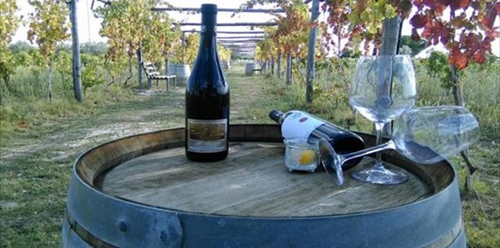 VISITA ALLE CANTINE IMPERATORE CON DEGUSTAZIONE VINI E GRIGLIATA - ADELFIA (BA)