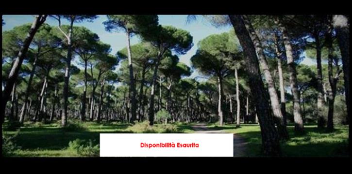 CASTEL PORZIANO - PERCORSO NATURALISTICO CAMPO DI ROTA
