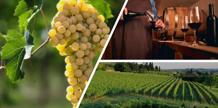 BRUNCH ALL'ITALIANA IN VALPOLICELLA