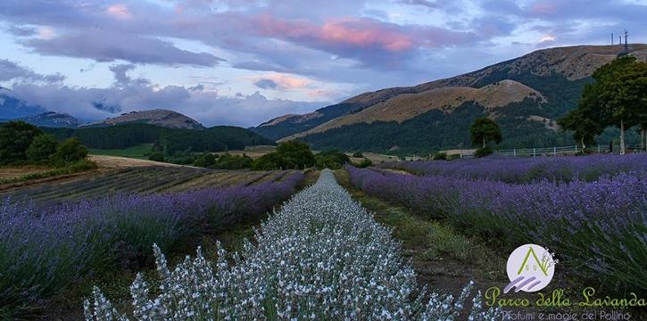 AGRITURISMO CHE PASSIONE!