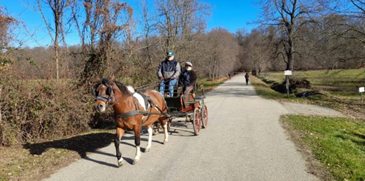 GIRI IN CARROZZA NEL PARCO REGIONALE LA MANDRIA