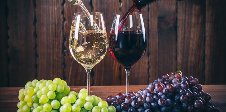 LEZIONI DI AVVICINAMENTO ALLA CONOSCENZA DEL VINO
