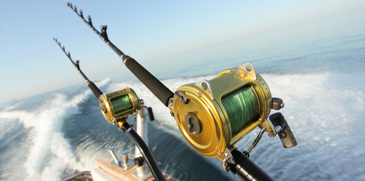 USCITA IN MOTONAVE A CHIOGGIA PER LA PESCA ALLO SGOMBRO. NUOVA DATA!
