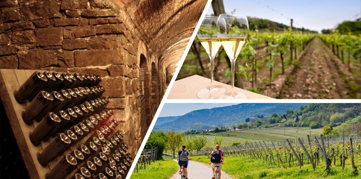 BICICLETTATA IN FRANCIACORTA CON PRANZO IN CANTINA