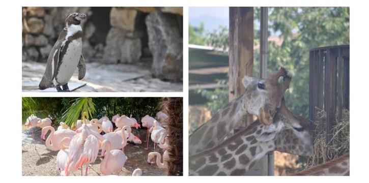 UNA GIORNATA AL PARCO FAUNISTICO DELLE CORNELLE