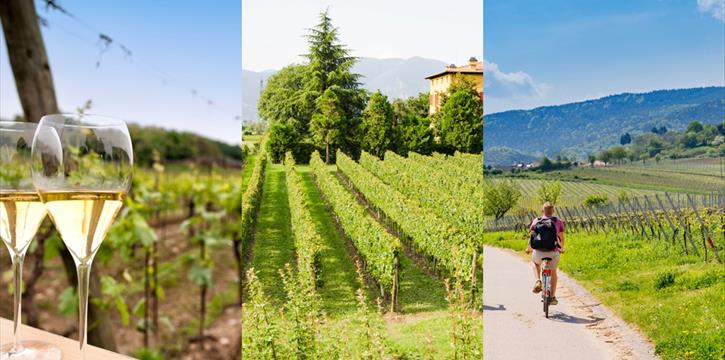 BIKE TOUR DELLA FRANCIACORTA CON PRANZO IN CANTINA