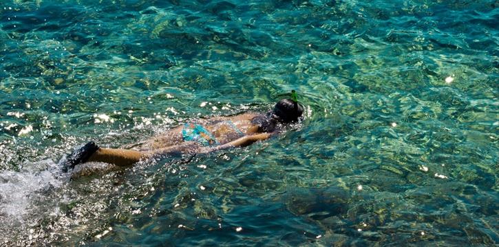 SNORKELING NEI CAMPI FLEGREI