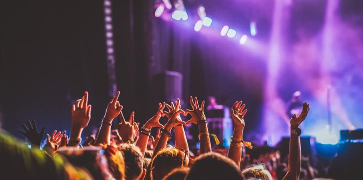 CONCERTI "PINK SONIC" A LAMEZIA E RENDE