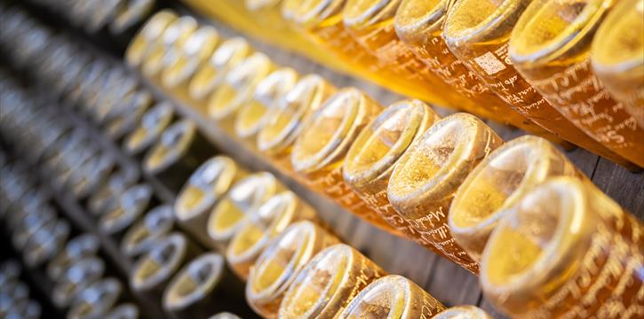 ESPERIENZA DI DEGUSTAZIONE ALLE CANTINE TENUTA MARIANI