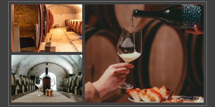 TOUR DEGUSTAZIONE VINI: CANTINA ENOLOGO PER AMORE A PUTIGNANO (BA)