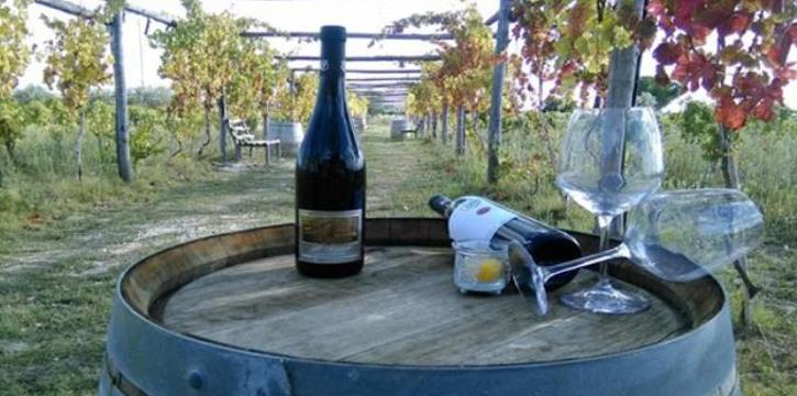 CASTAGNE, FUNGHI E GRIGLIATA DI CARNE ALLE CANTINE IMPERATORE DI ADELFIA (BA)