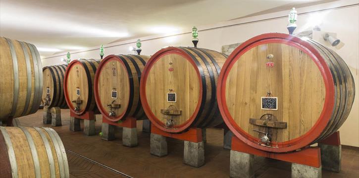 ESPERIENZA DI DEGUSTAZIONE "ARMONIA DI CARMIGNANO" ALLA TENUTA CASTELVECCHIO