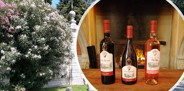 TENUTA "LA SINTA": VISITA GUIDATA E DEGUSTAZIONE