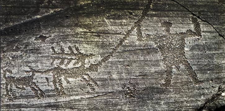 INCISIONI RUPESTI, FOPPE DI NADRO – PARCO ARCHEOLOGICO DEI MASSI DI CEMMO E PIEVE DI SAN SIRO - VISITA CULTURALE