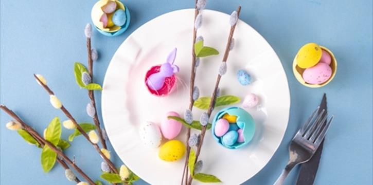 PRANZO DI PASQUA 2026 E VISITA AL TEATRO BAUDI DI SELVE DI VIGONE