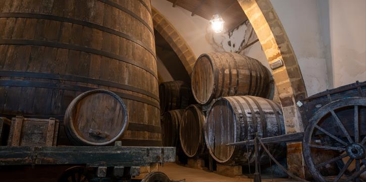 WINERY EXPERIENCE A MARTINA FRANCA - CANTINE PUGLIA POP