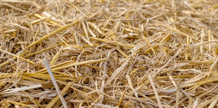 DA SAN DONNINO A SIGNA - PARCO DEI RENAI E MUSEO DELLA PAGLIA - FIRENZE