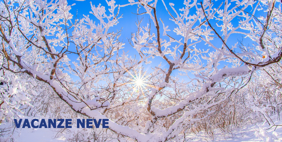 VACANZE NEVE 2025/2026