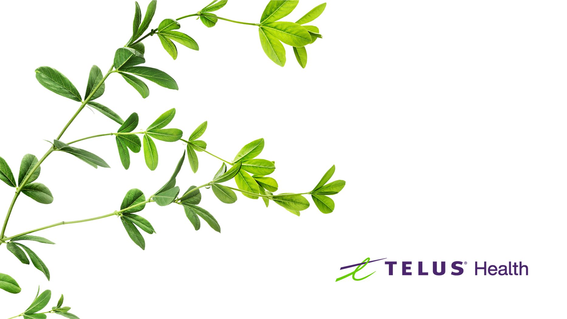 STIMULUS TELUS HEALTH - SOSTEGNO PSICOLOGICO GRATUITO