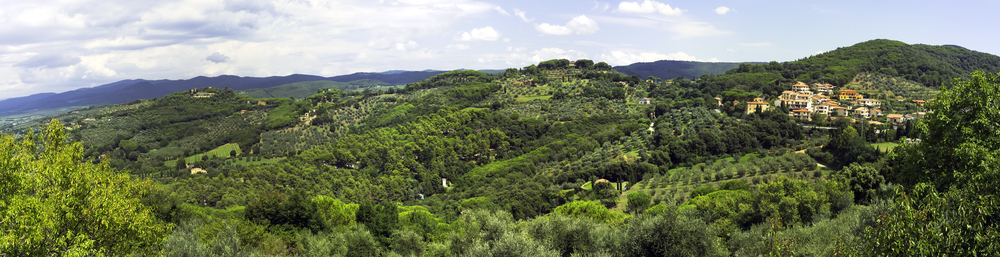 PASSEGGIATE NEI PARCHI DELLA VAL DI CORNIA IN TOSCANA