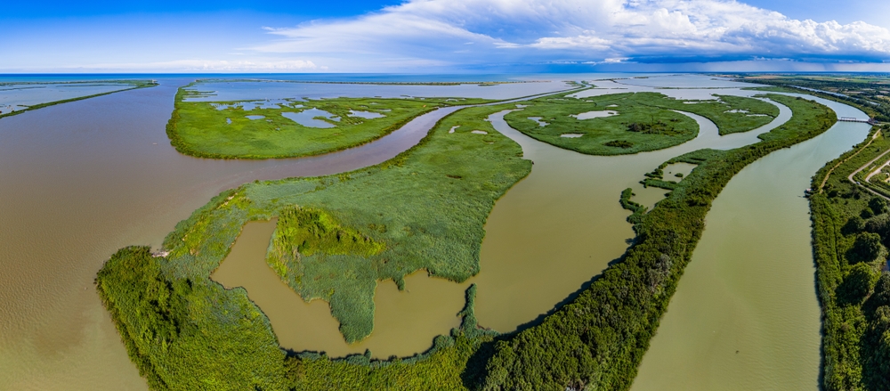 IL PARCO NATURALE DEL DELTA DEL PO: ESCURSIONE IN BARCA E VISITA GUIDATA CON DEGUSTAZIONE AD UNA VILLA VENETA