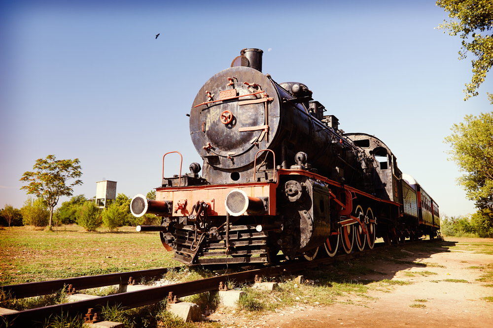TRENINO A VAPORE LUINO - LOCARNO E PRANZO CON SPETTACOLO