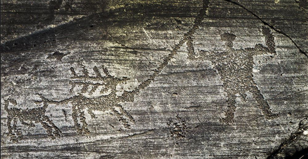 INCISIONI RUPESTI, FOPPE DI NADRO – PARCO ARCHEOLOGICO DEI MASSI DI CEMMO E PIEVE DI SAN SIRO - VISITA CULTURALE