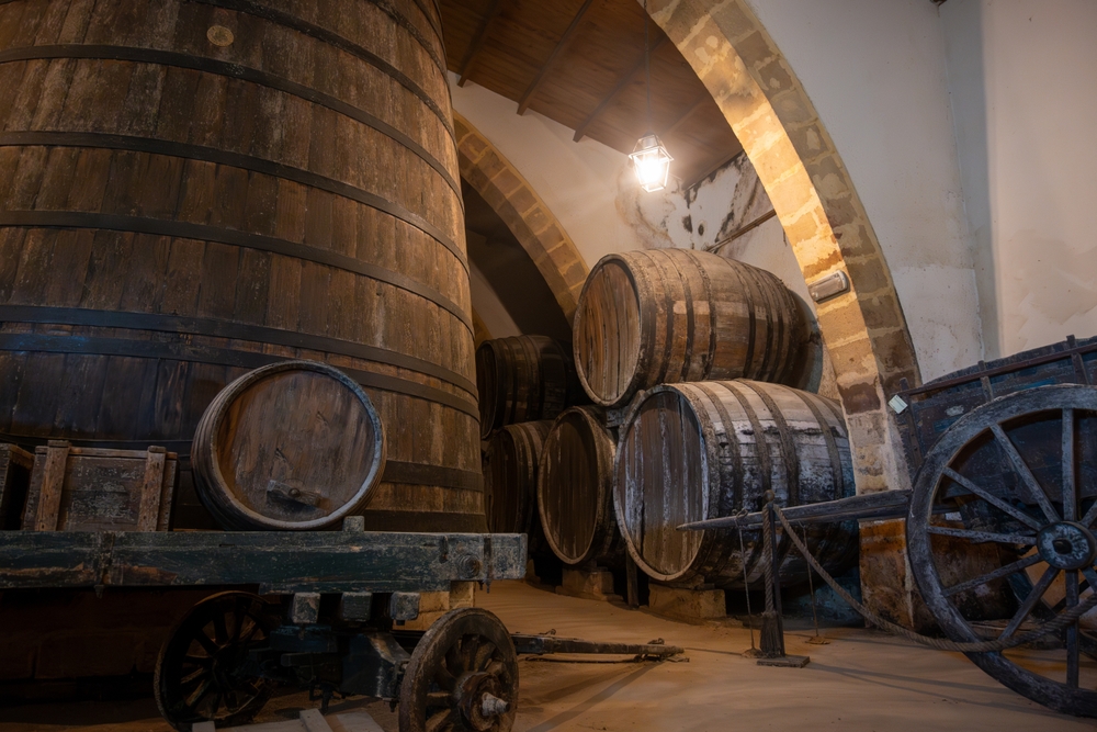 WINERY EXPERIENCE A MARTINA FRANCA - CANTINE PUGLIA POP