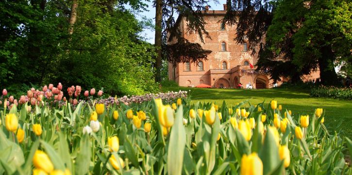 26^ EDIZIONE DI "MESSER TULIPANO"