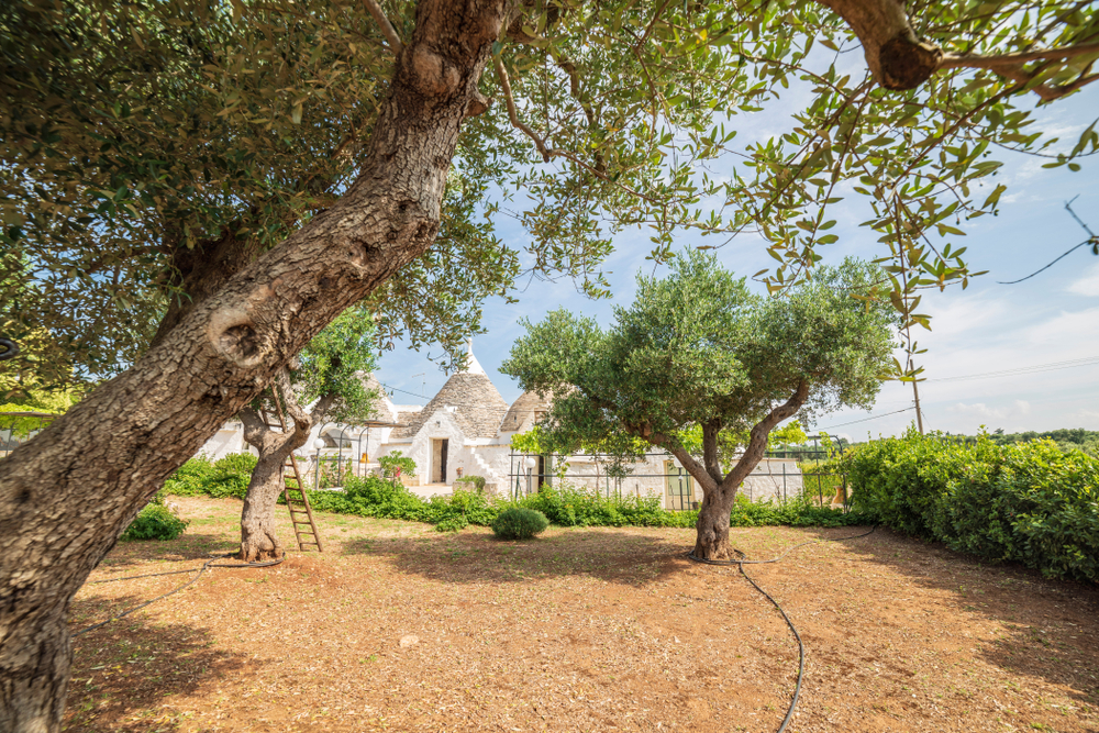 LA VAL D'ITRIA - GITA DI 3 GIORNI