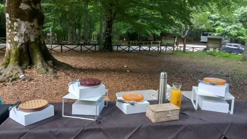 ESCURSIONE RISERVA NATURALE FORESTA UMBRA