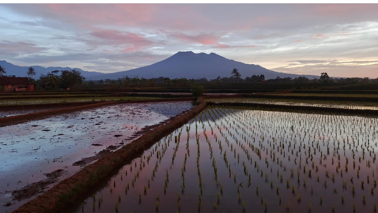 VERCELLESE TERRE D’ACQUA E DI GRANGE