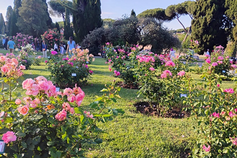 VISITA GUIDATA ROSETO COMUNALE - ROMA
