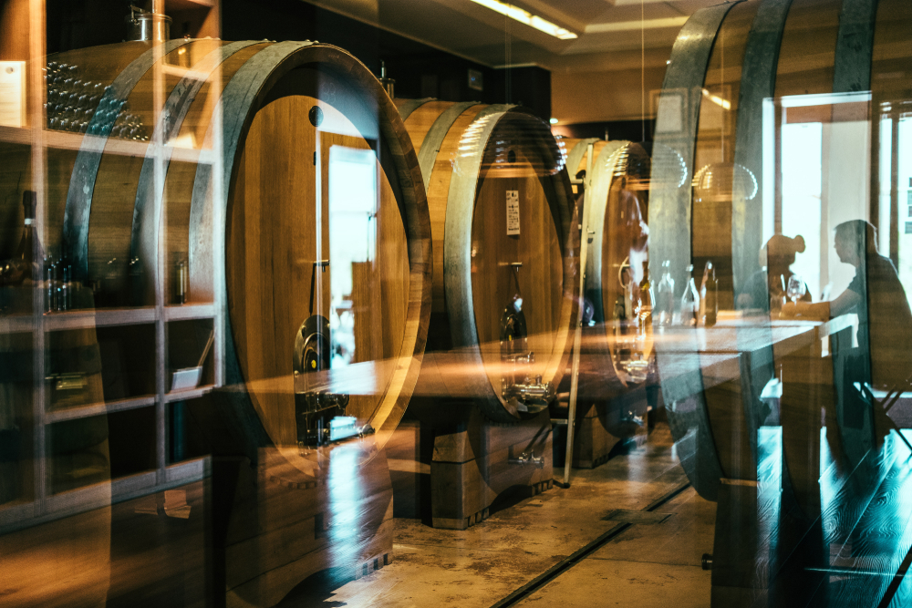 I SAPORI DELLA VALPOLICELLA