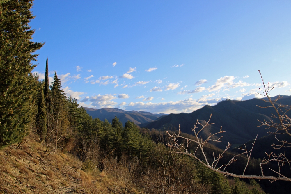 ANELLO CAPANNA SICUTERI COMPLESSO NEL PARCO GIOGO-CASAGLIA - MUGELLO (FI)