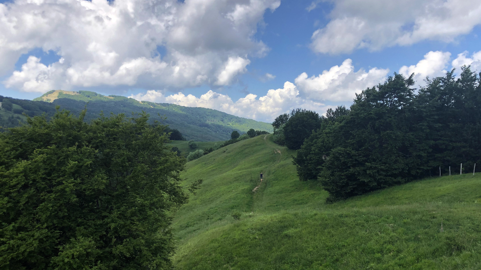 ESCURSIONE MEDIEVALE GUIDATA - PARTENZA DA RUSINO (PR)