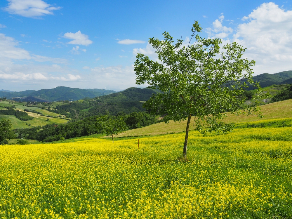 ESCURSIONE GUIDATA IN VAL D'ENZA (PR)