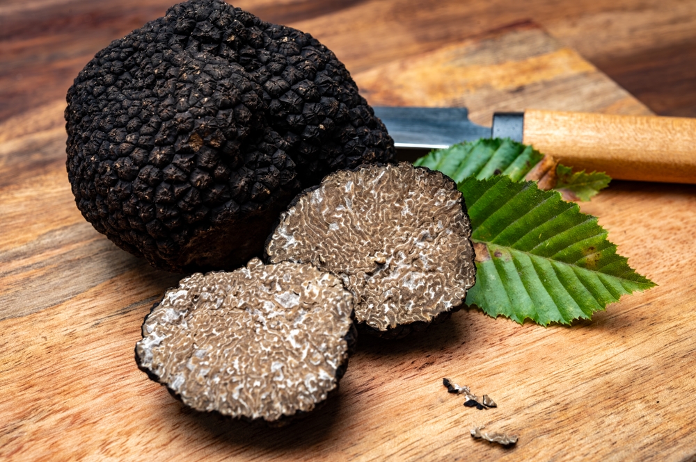 ALBA E LA FIERA DEL TARTUFO - GITA DI 1 GIORNO