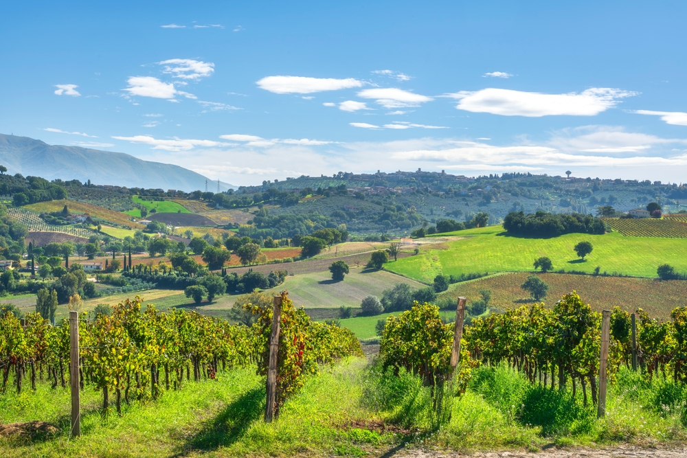 LONG WEEKEND ALLA TENUTA DEL PERUGINO BETTONA (PG)