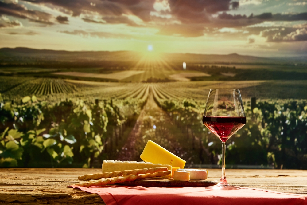 APERITIVO IN VIGNA: MUSICA A 360° CON DJ SET