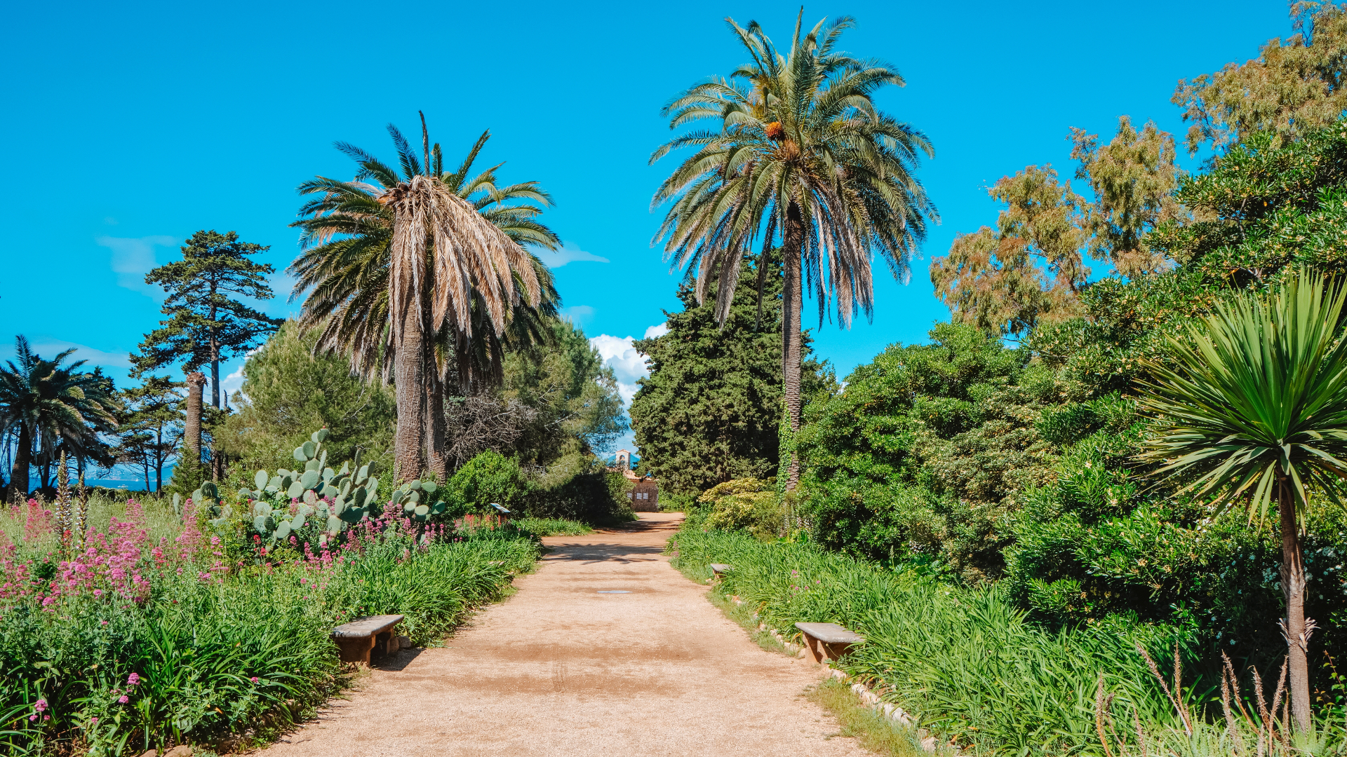 TREKKING CANNES E ISOLE LERINS